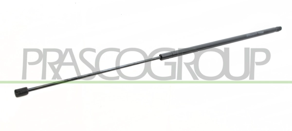 Gas Spring, boot/cargo area (FT9089055)