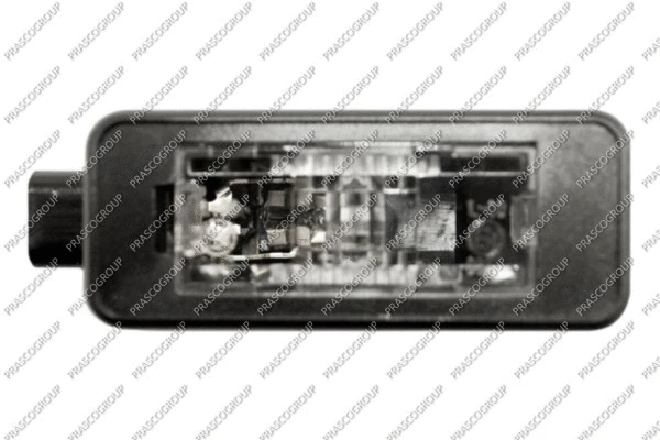 Licence Plate Light (CI3284360)