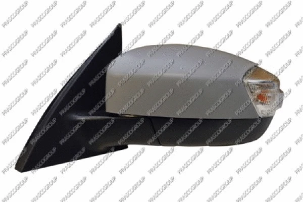 Exterior Mirror (FD7307374)