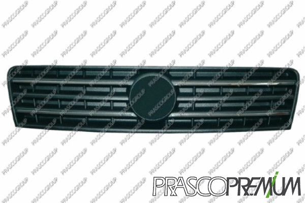 Radiator Grille (FT3402011)