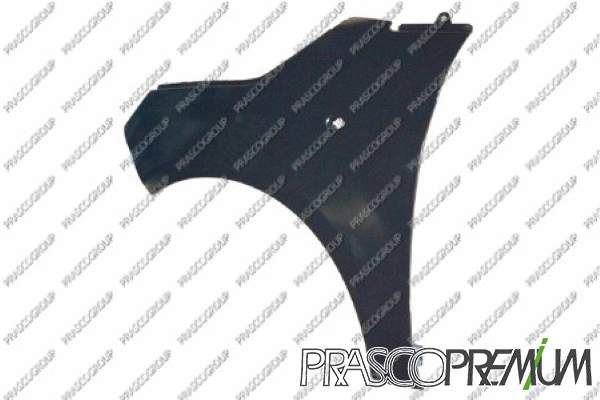 Wing (FT0303014)