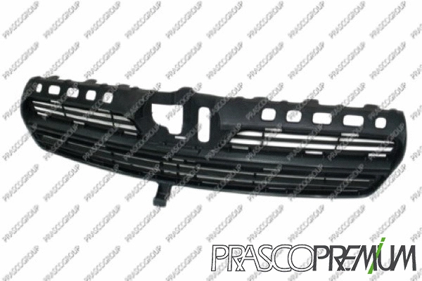 Radiator Grille (TY0902001)