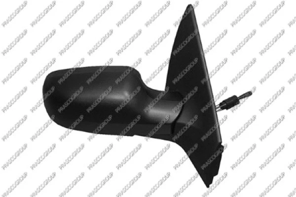 Exterior Mirror (RN4207113P)