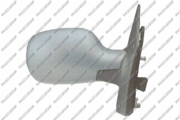 Exterior Mirror (RN0317323)
