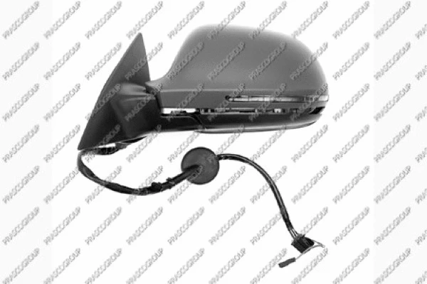 Exterior Mirror (AD0367344P)