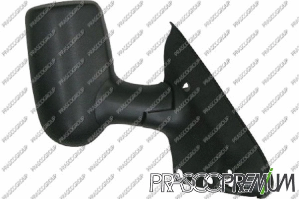 Exterior Mirror (FD9107303P)