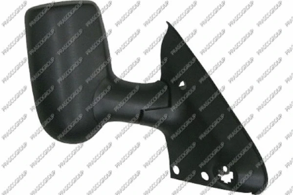 Exterior Mirror (FD9107303)