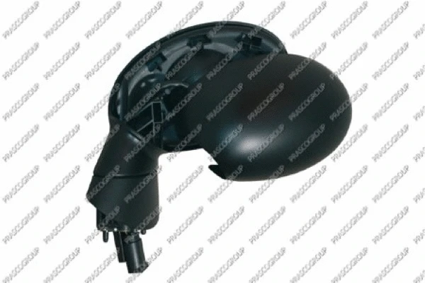 Exterior Mirror (MN3047324)