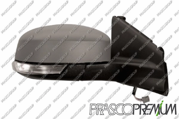 Exterior Mirror (FD1127303P)