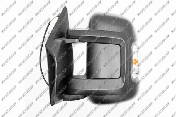 Exterior Mirror (FT9307007)