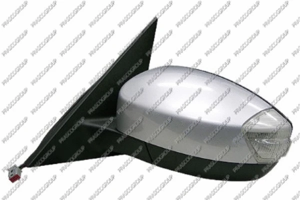 Exterior Mirror (FD0797314)