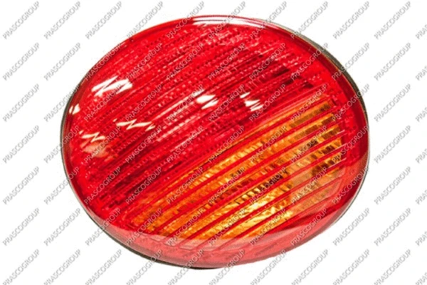 Tail Light Assembly (VG4204164)