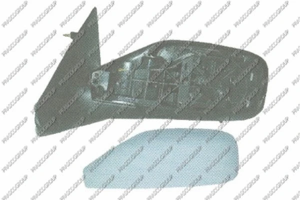 Exterior Mirror (RN0847313)