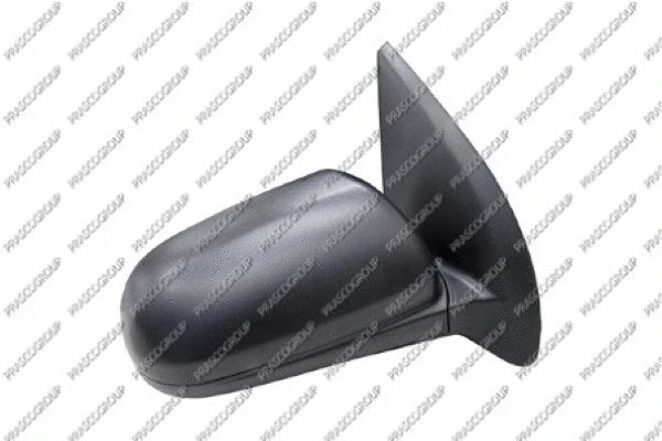 Exterior Mirror (DW3277003)