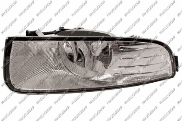 Front Fog Light (SK4204414)