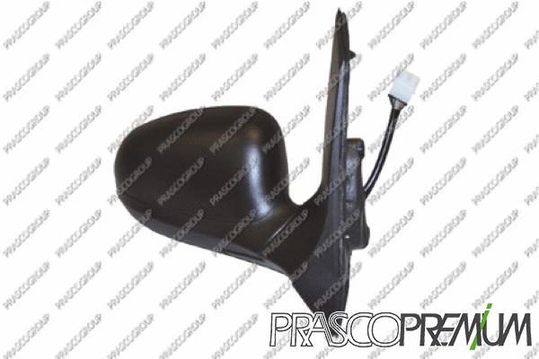 Exterior Mirror (FD0087203P)