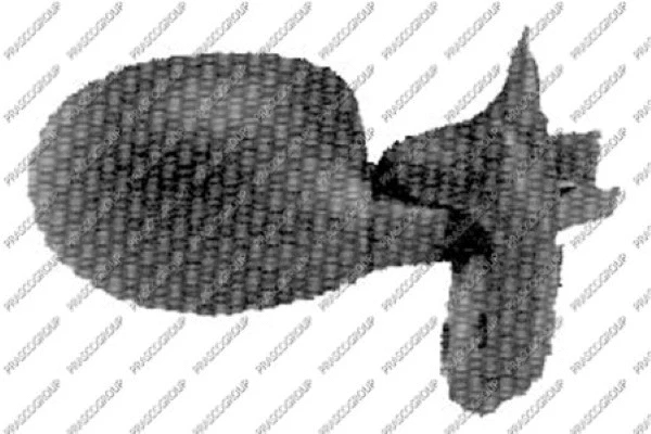 Exterior Mirror (RN0257103)