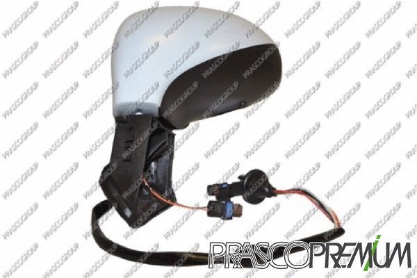 Exterior Mirror (PG4247314P)