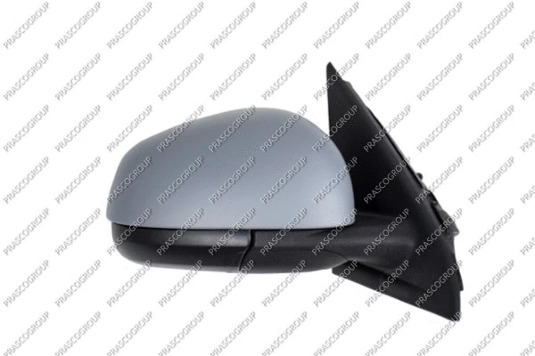 Exterior Mirror (RN2027013)