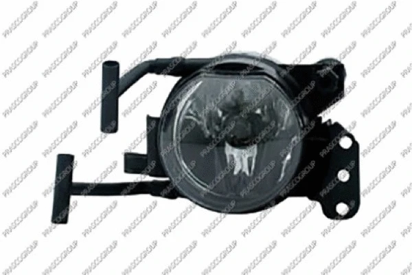 Front Fog Light (BM0224415)
