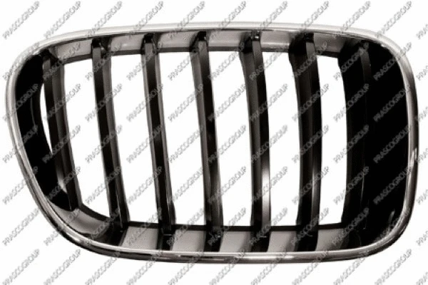 Radiator Grille (BM8042003)