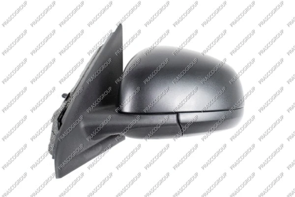 Exterior Mirror (RN2027004)