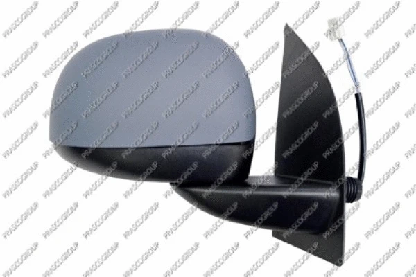 Exterior Mirror (FT1237135)