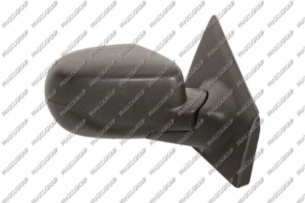 Exterior Mirror (RN3277303)