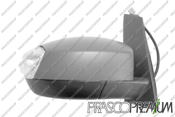 Exterior Mirror (FD7197313P)