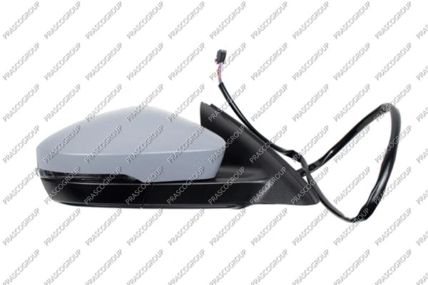 Exterior Mirror (SK0307313)