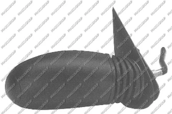 Exterior Mirror (FT0197123)