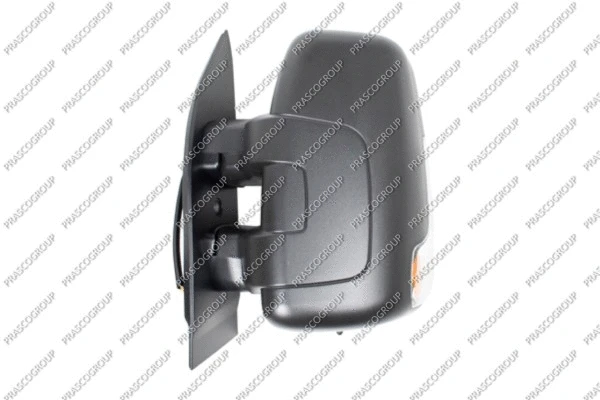 Exterior Mirror (FT9507005)