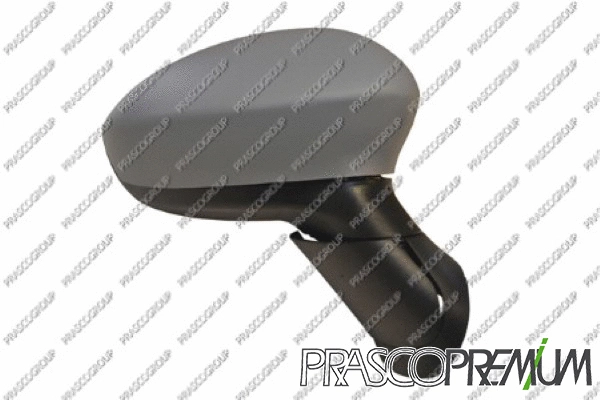 Exterior Mirror (FT3427213P)