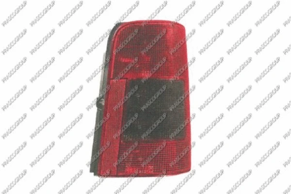 Tail Light Assembly (CI9154154)