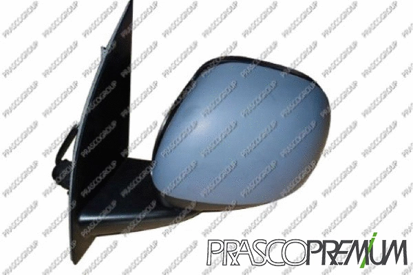 Exterior Mirror (FT1237103P)