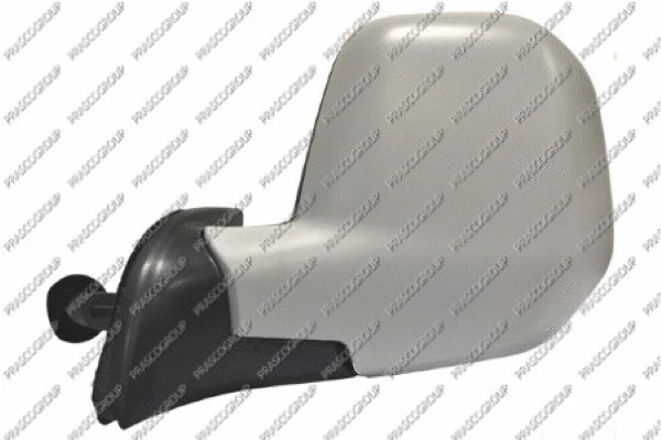 Exterior Mirror (CI9187124)