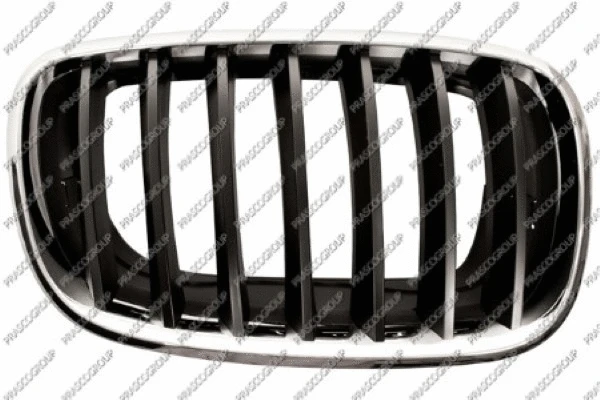 Radiator Grille (BM8222003)