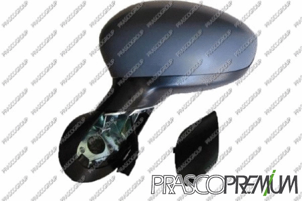 Exterior Mirror (FT0307124P)