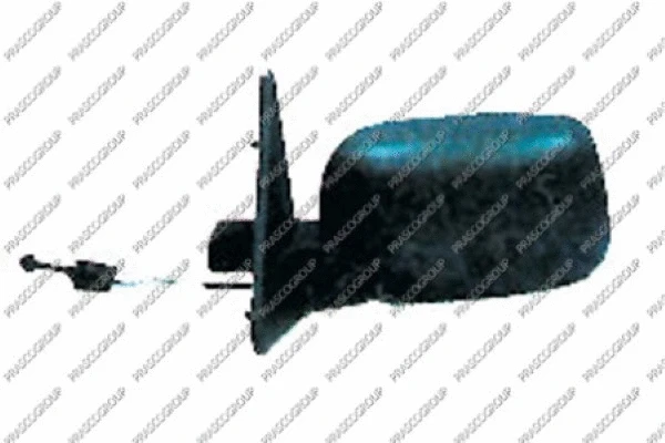 Exterior Mirror (RN9157004)