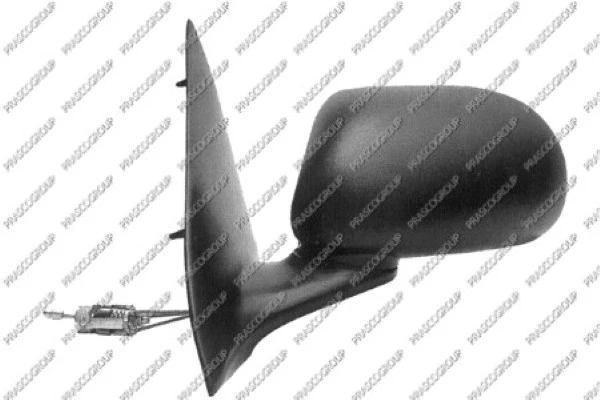 Exterior Mirror (FT1377114)