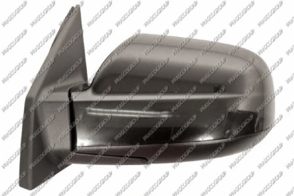 Exterior Mirror (HN8027214)