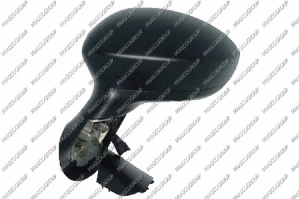 Exterior Mirror (FT3427004)