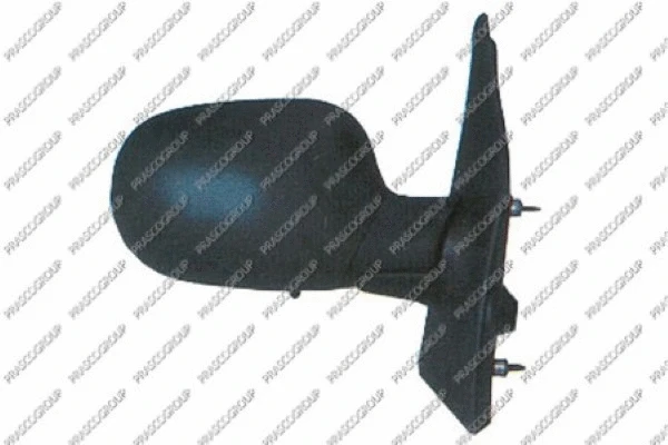 Exterior Mirror (RN0307313)