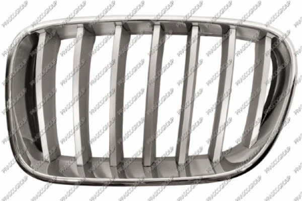 Radiator Grille (BM8042014)