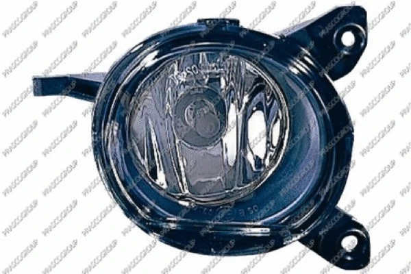 Front Fog Light (TY0904413)