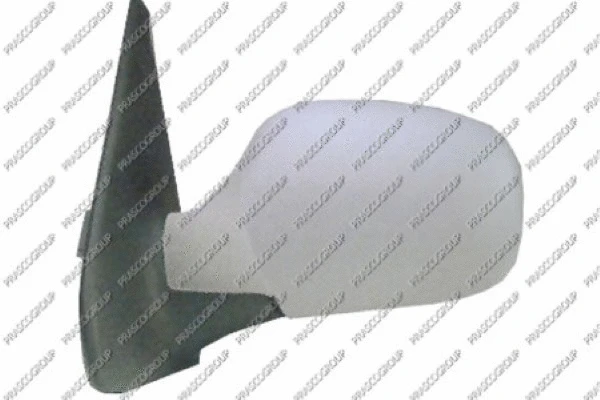 Exterior Mirror (RN3227324)