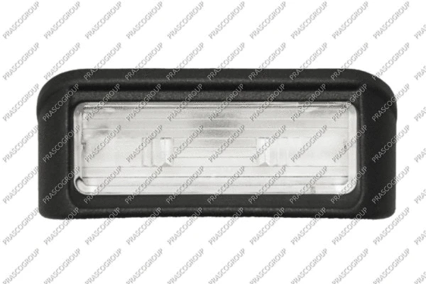 Licence Plate Light (CI9184360)