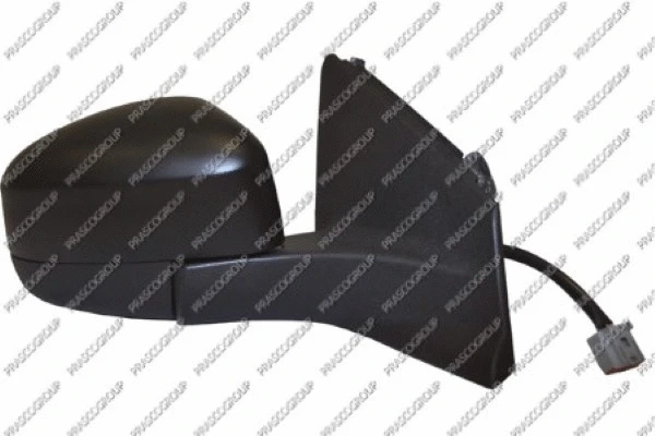 Exterior Mirror (FD1107313)