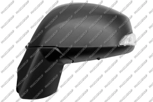 Exterior Mirror (RN0367314)