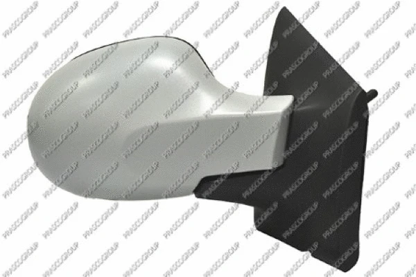 Exterior Mirror (RN3067123P)
